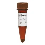 Thermo Fisher Scientific Kinase Tracer 236, 50 μM