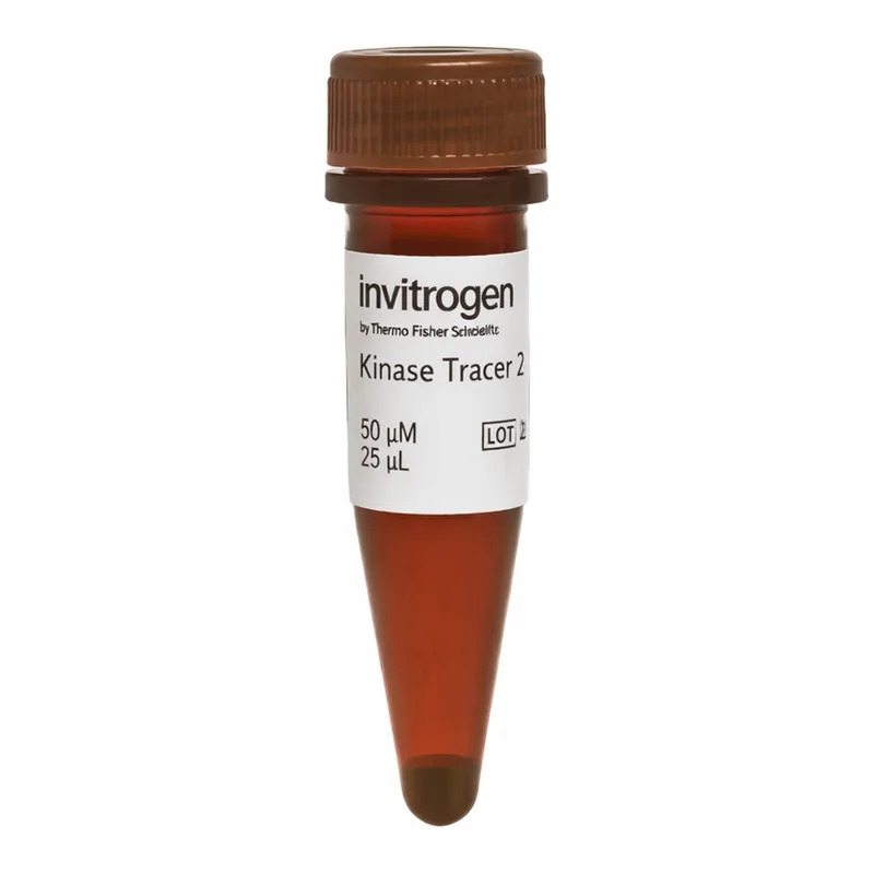 Thermo Fisher Scientific Kinase Tracer 236, 50 μM