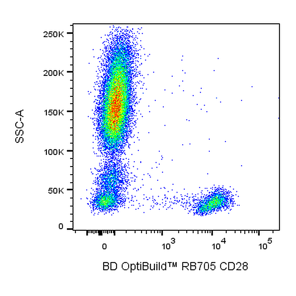BD RB705 Mouse Anti-Human CD28