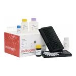 Thermo Fisher Scientific ProcartaPlex Mouse Basic Kit
