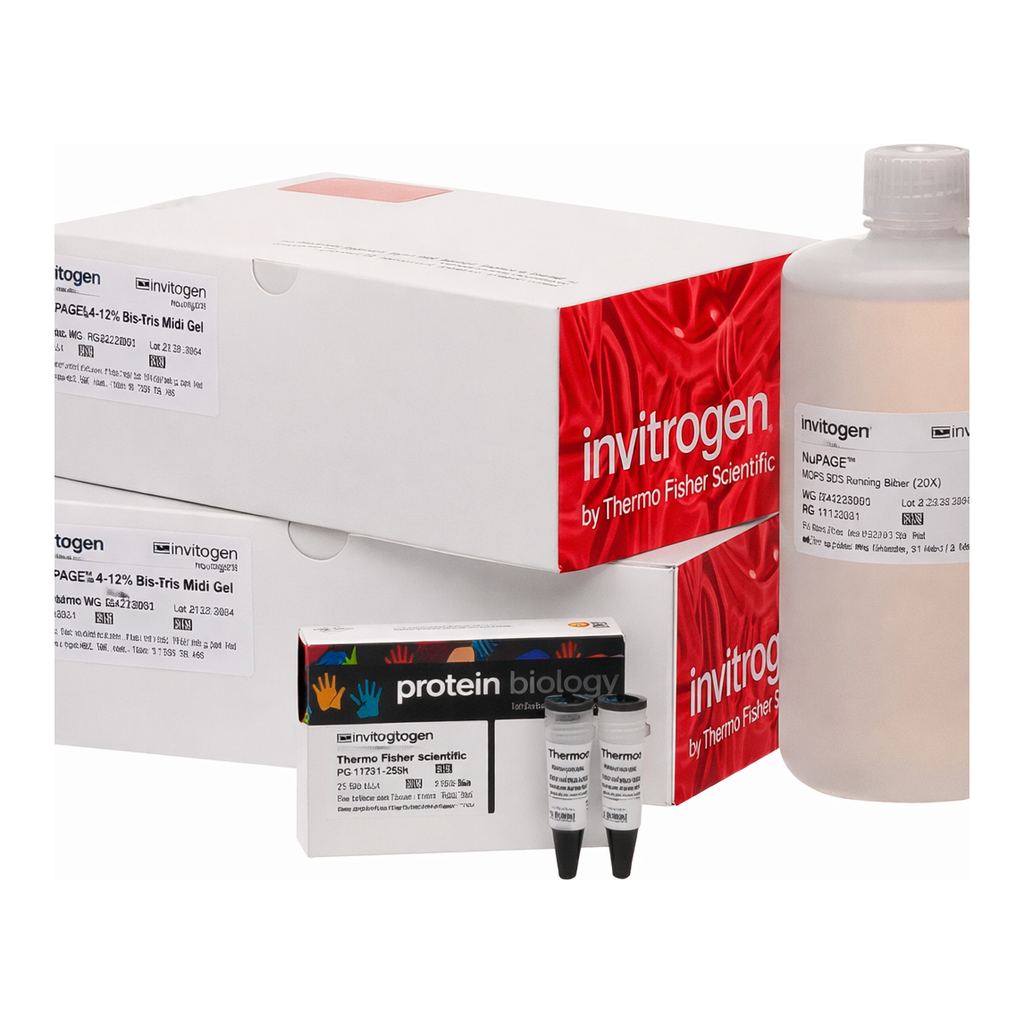 Thermo Fisher Scientific NuPAGE Midi Bis-Tris Resupply Pack, 10%, WedgeWell format, 20-well, 1 Kit
