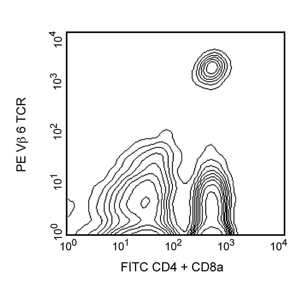 BD PE Rat Anti-Mouse Vβ 6 T-Cell Receptor
