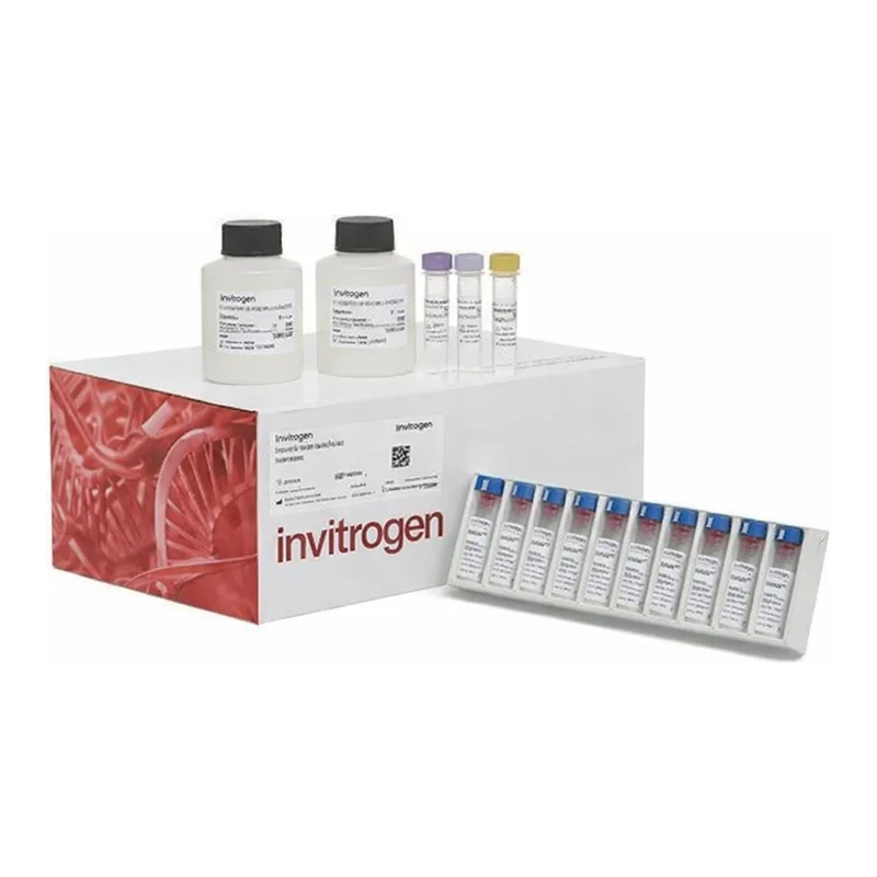 Thermo Fisher Scientific Human IL-12/IL-23 p40 Matched Antibody Pair