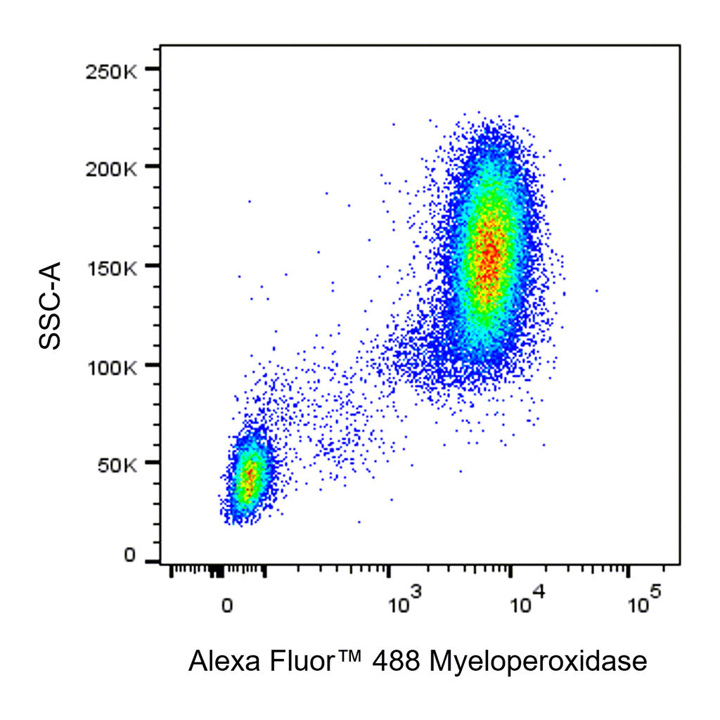 BD Alexa Fluor 488 Mouse Anti-Human Myeloperoxidase