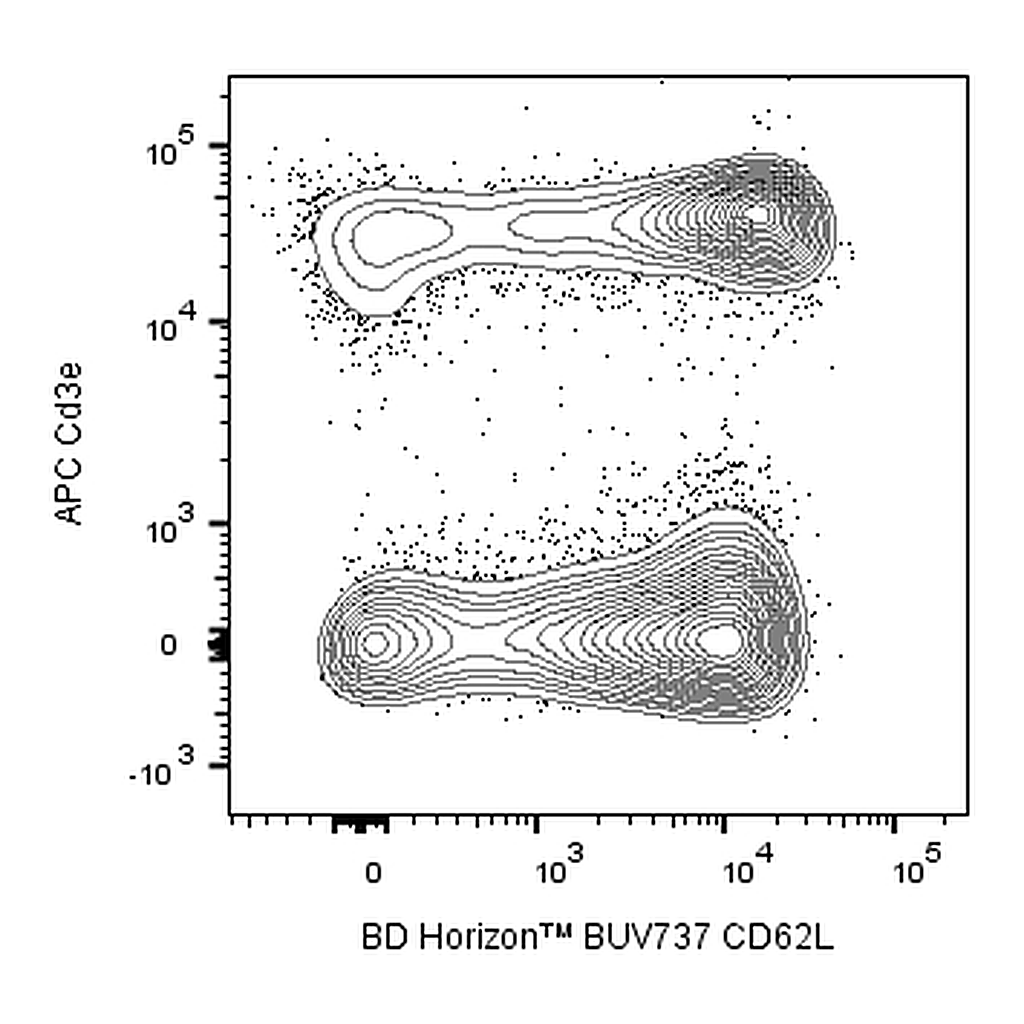 BD BUV737 Rat Anti-Mouse CD62L