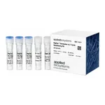 Thermo Fisher Scientific BDT/POP/Buffer Bundle, 96 reactions