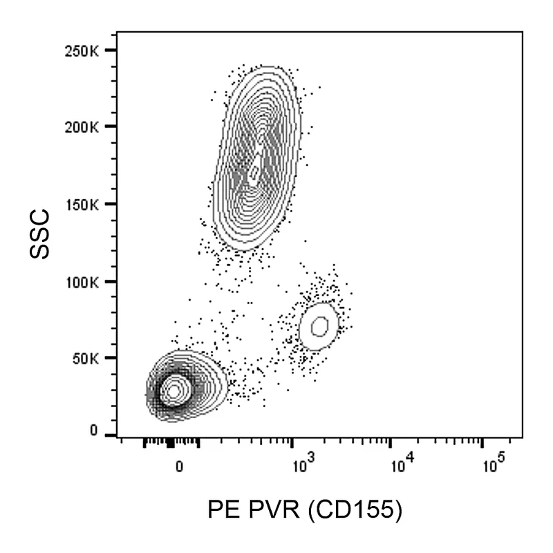 BD PE Mouse Anti-Human PVR (CD155)