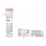 Merck MISSION(R) esiRNA