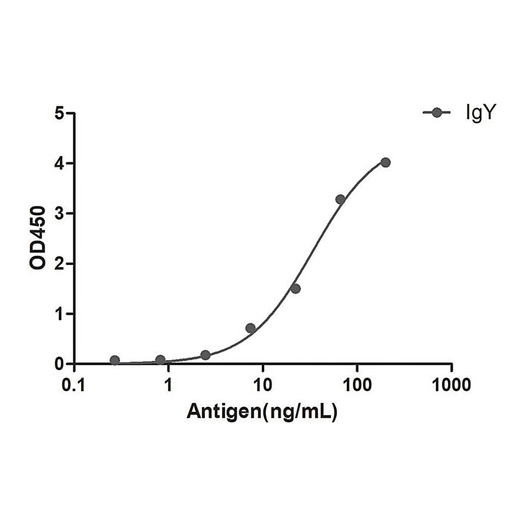 Merck Alpaca Anti-Chicken IgY Biotin single domain Antibody