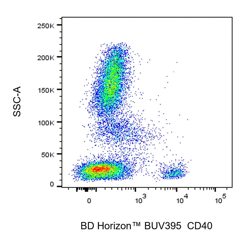 BD BUV395 Mouse Anti-Human CD40