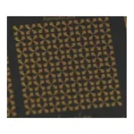 Merck 4-Point Probing Chip