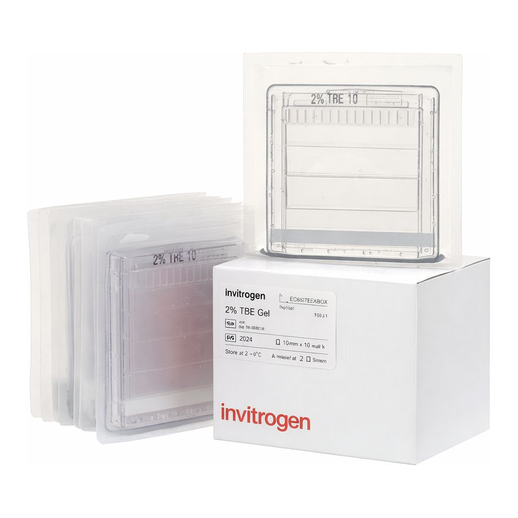 Thermo Fisher Scientific Novex TBE Gels, 20%, 12-well, 10 Gels/Box