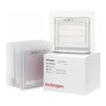Thermo Fisher Scientific Novex TBE Gels, 20%, 12-well, 10 Gels/Box