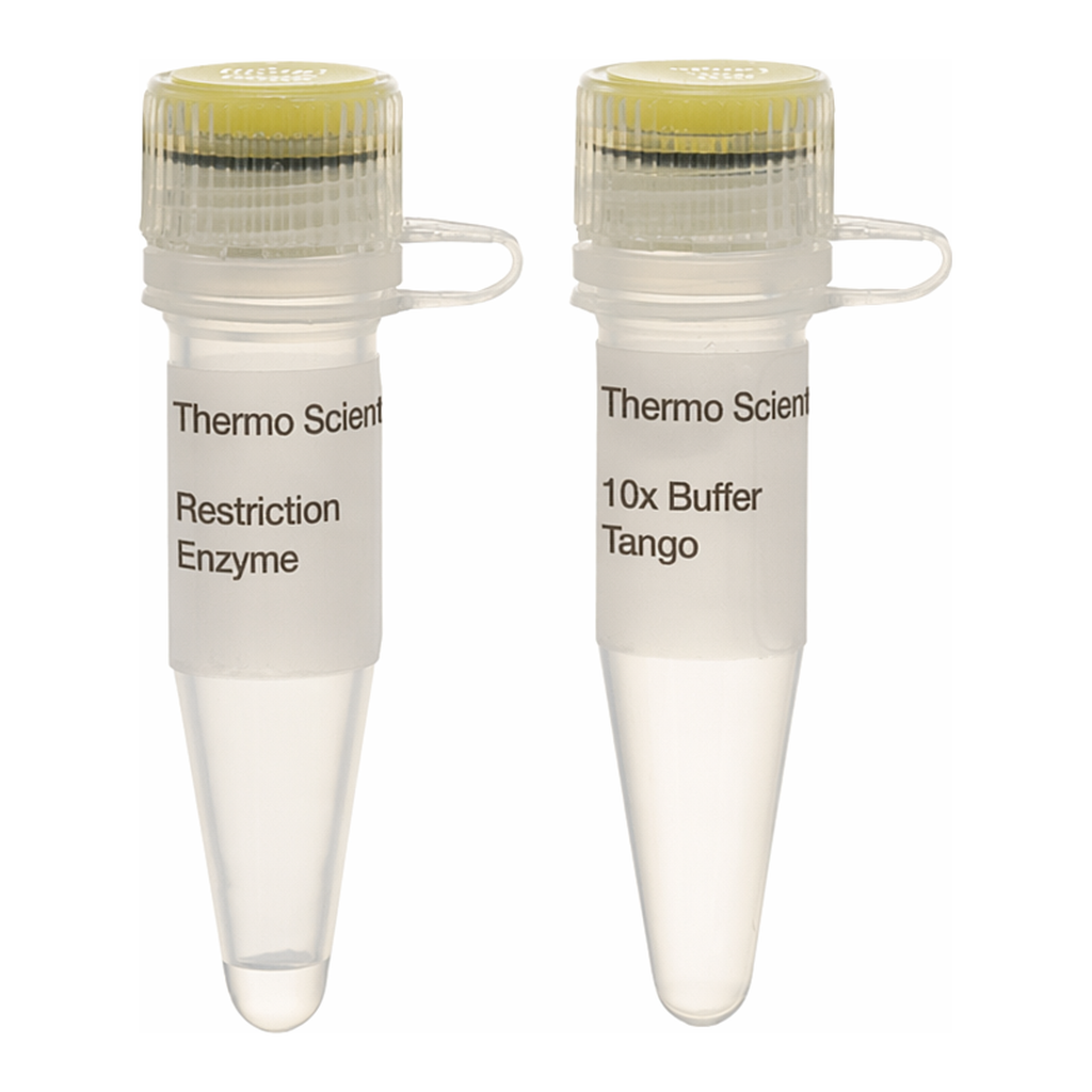 Thermo Fisher Scientific DpnI (10 U/&mu;L), 500 units