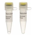 Thermo Fisher Scientific DpnI (10 U/μL), 500 units