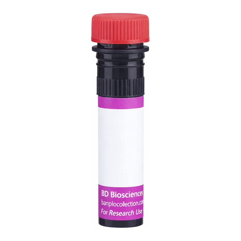 BD BV711 Mouse Anti-Human Desmoglein 2