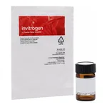 Thermo Fisher Scientific BODIPY 493/503 (4,4-Difluoro-1,3,5,7,8-Pentamethyl-4-Bora-3a,4a-Diaza-s-Indacene)