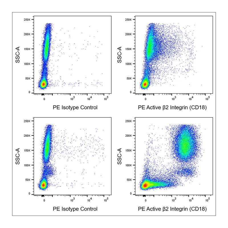 BD PE Mouse Anti-Human Active β2 Integrin (CD18)
