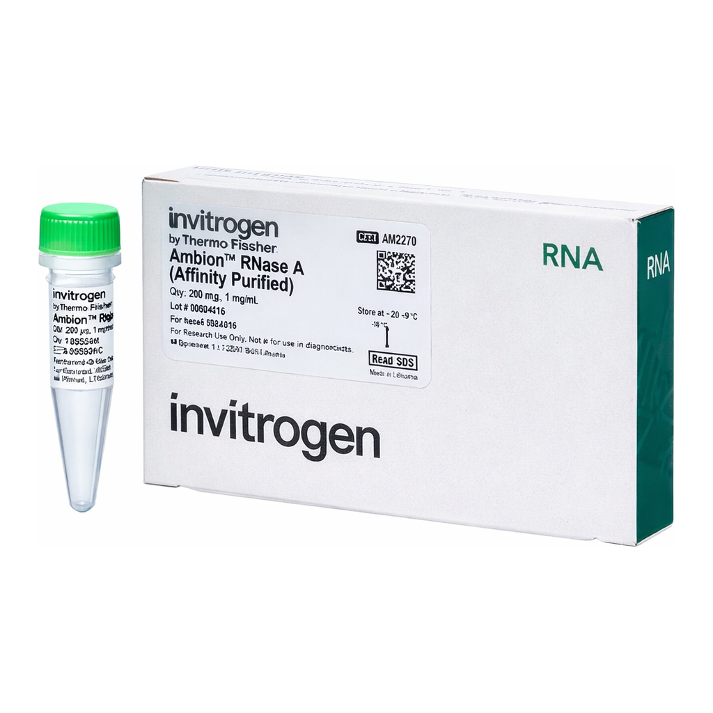 Thermo Fisher Scientific Ambion RNase A, affinity purified, 1 mg/mL, 200 ug