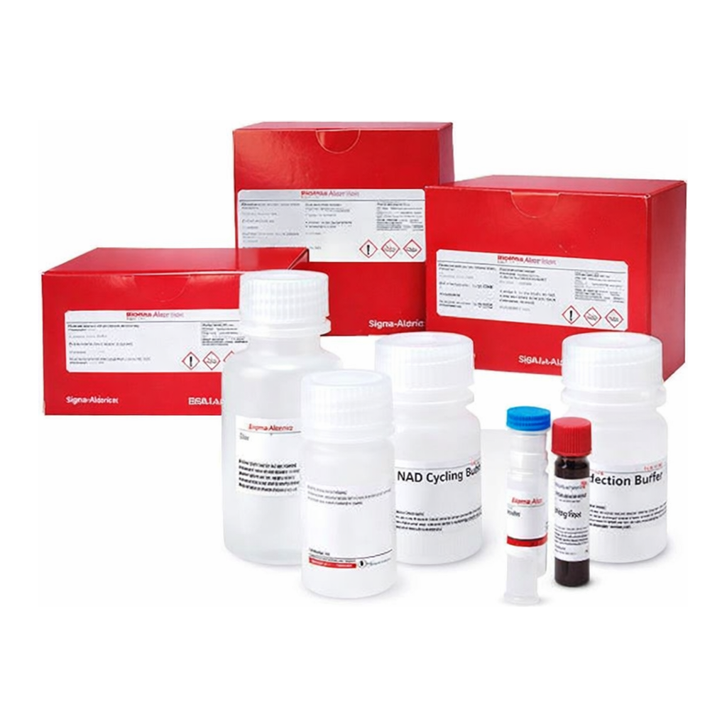 Merck ACETYLCHOLINESTERASE ACTIVITY ASSAY KIT