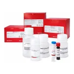 Merck ACETYLCHOLINESTERASE ACTIVITY ASSAY KIT