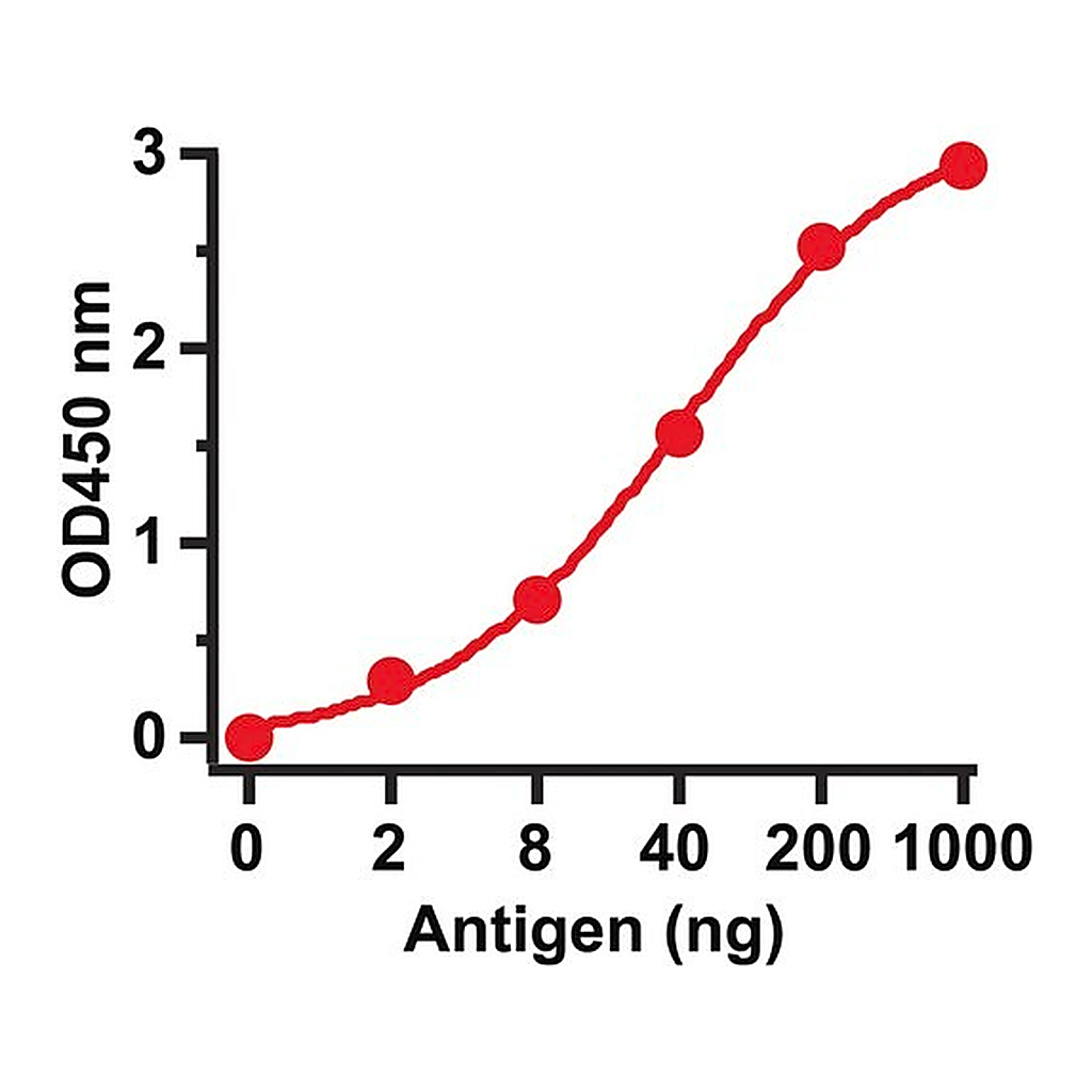 Merck Anti-SARS-CoV Matrix antibody produced in rabbit