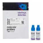 Thermo Fisher Scientific Cell Sorting Set-up Beads (for red lasers)