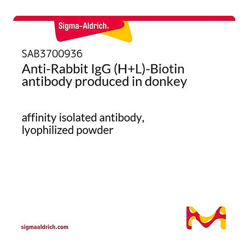 Merck Anti-Rabbit IgG (H+L)-Biotin antibody produced in donkey