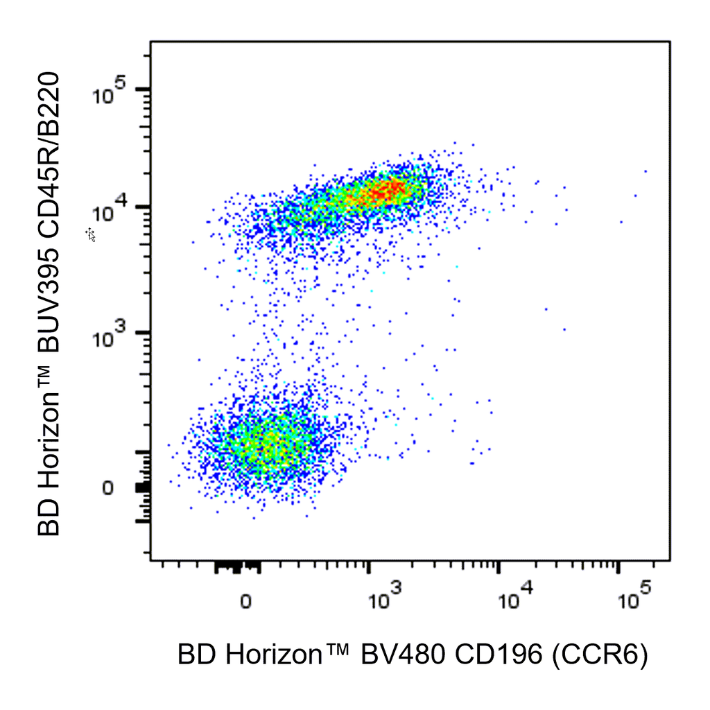 BD BV480 Rat Anti-Mouse CD196 (CCR6)