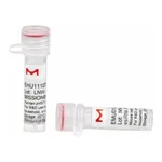 Merck MISSION(R) esiRNA