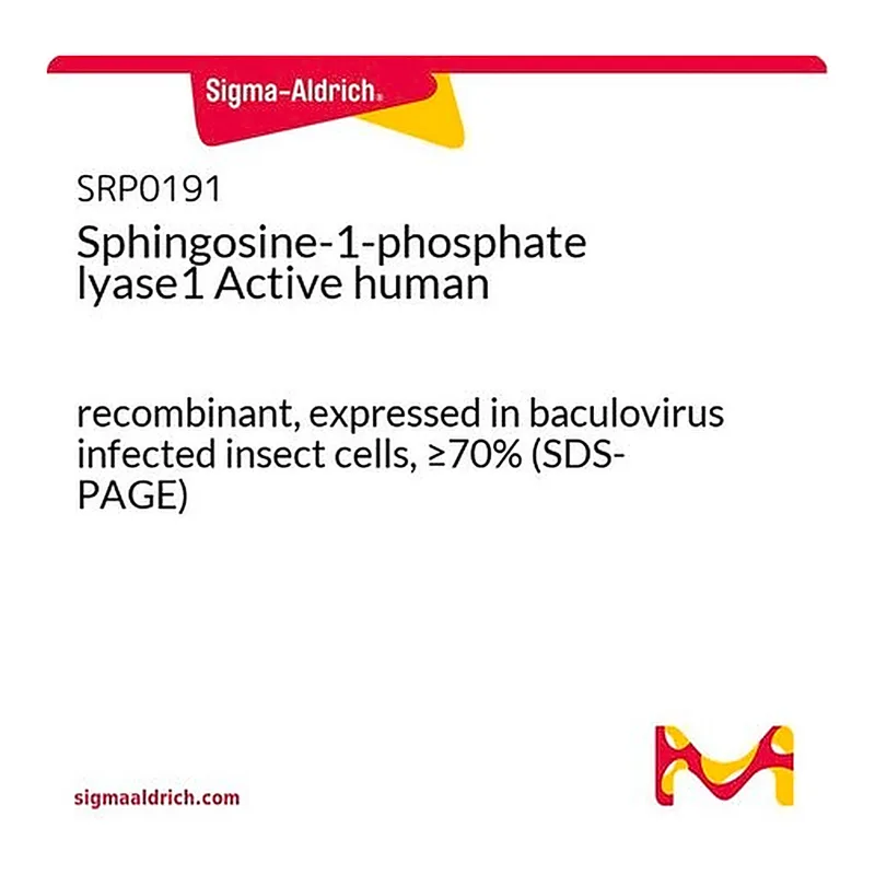 Merck Sphingosine-1-phosphate lyase1 Active human