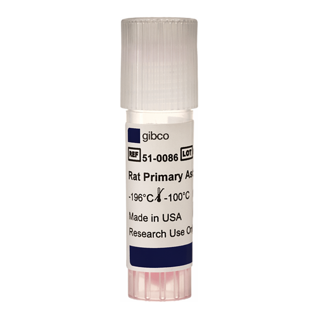 Thermo Fisher Scientific Rat Primary Cortical Astrocytes