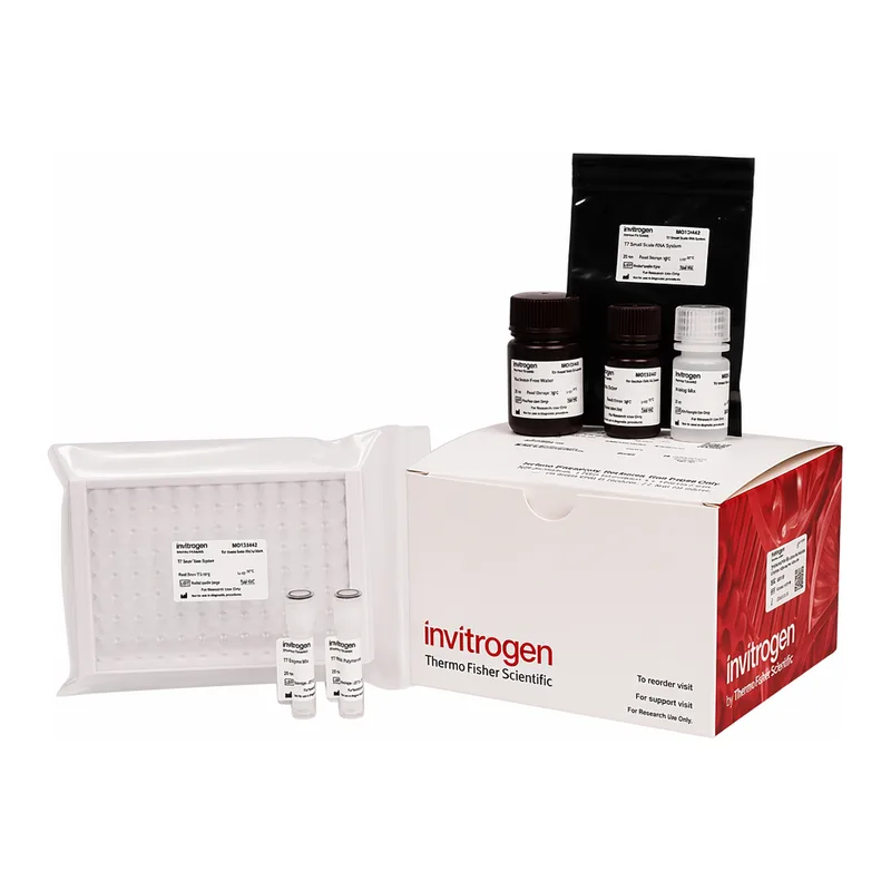Thermo Fisher Scientific Cell Ferrous Iron Colorimetric Assay Kit