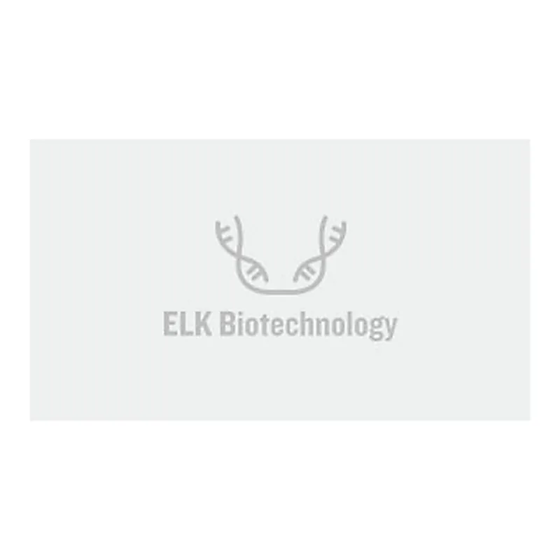 ELK Biotechnology FFPE DNA Extraction Kit