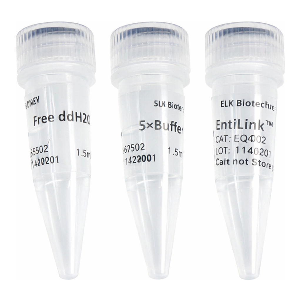 ELK Biotechnology EntiLink Reverse Transcriptase