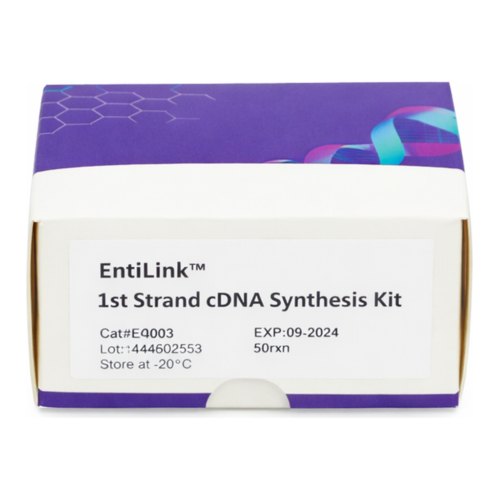 ELK Biotechnology EntiLink 1st Strand cDNA Synthesis Kit