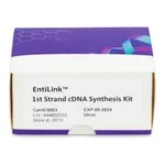 ELK Biotechnology EntiLink 1st Strand cDNA Synthesis Kit