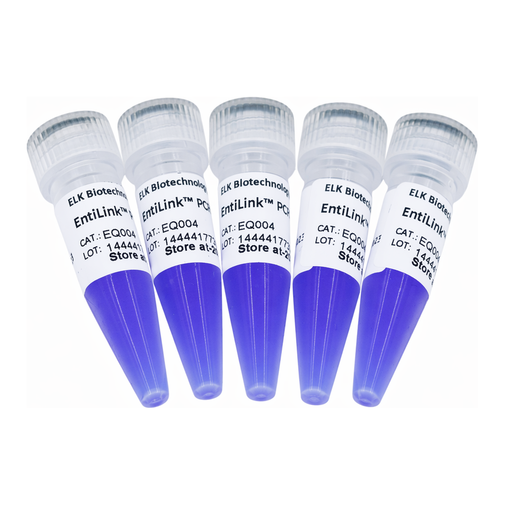 ELK Biotechnology EntiLink PCR Master Mix