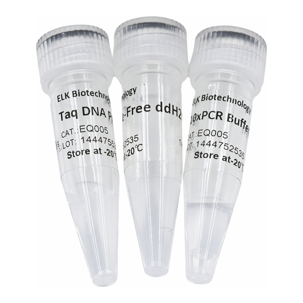 ELK Biotechnology Taq DNA Polymerase