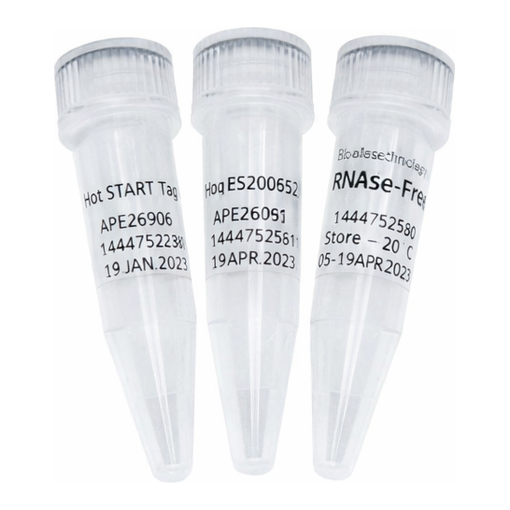 ELK Biotechnology Hot start Taq DNA Polymerase