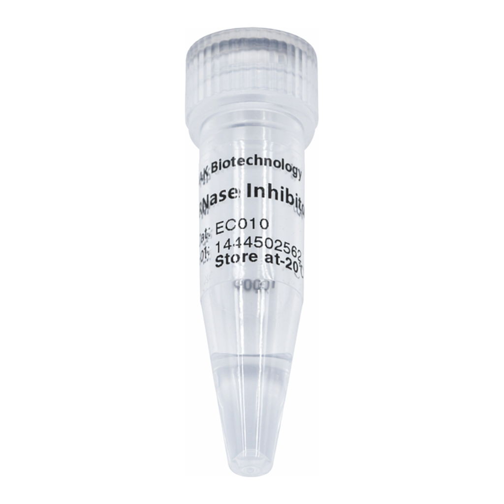 ELK Biotechnology RNase Inhibitor