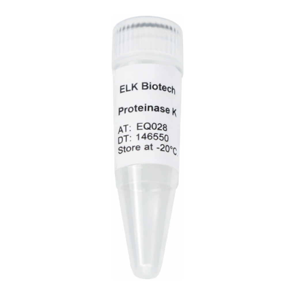 ELK Biotechnology Proteinase K