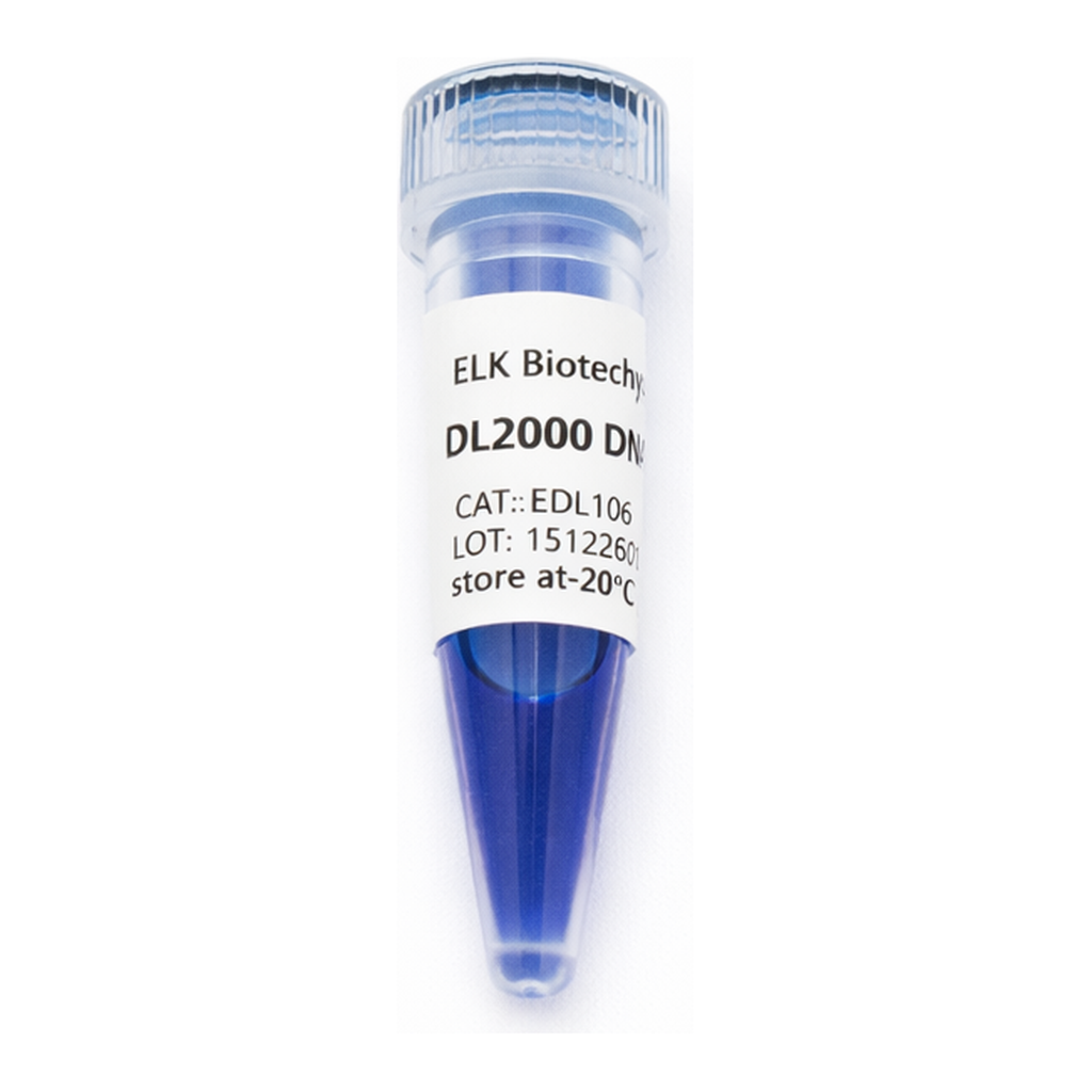ELK Biotechnology DL2000 DNA Marker 100bp-2000bp