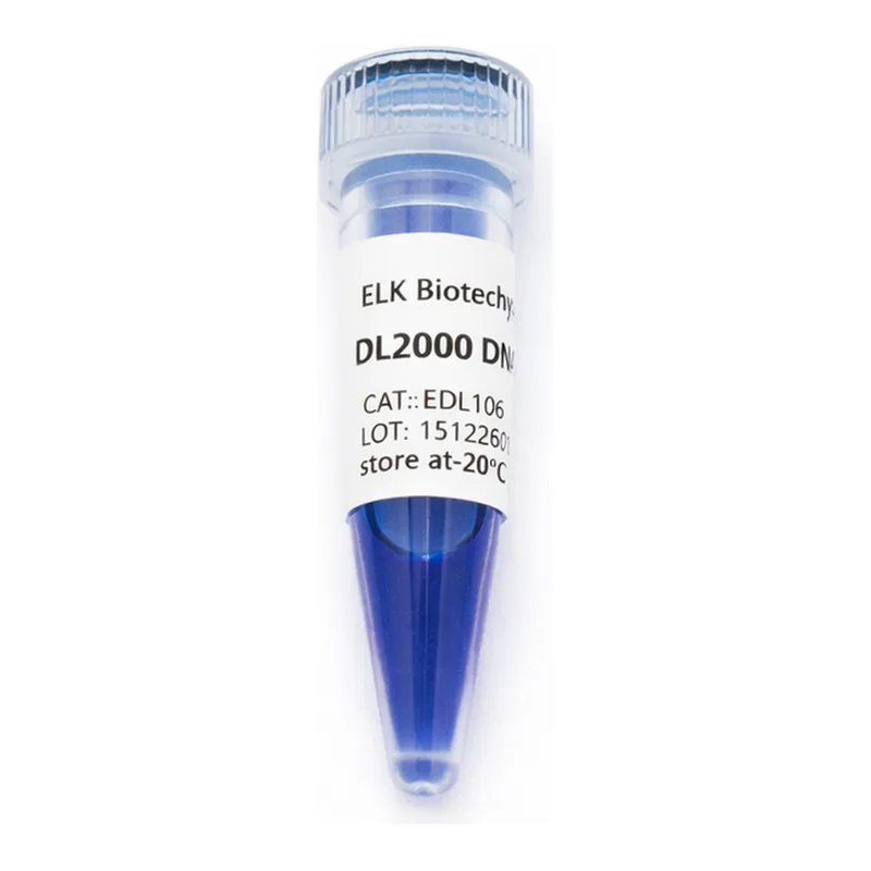 ELK Biotechnology DL2000 DNA Marker 100bp-2000bp