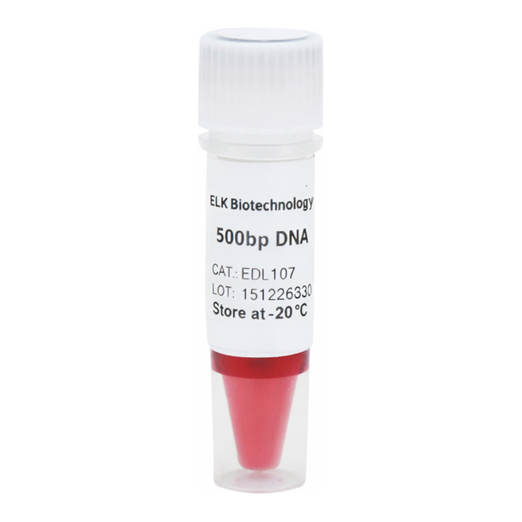 ELK Biotechnology 500bp DNA Ladder  500bp-5000bp