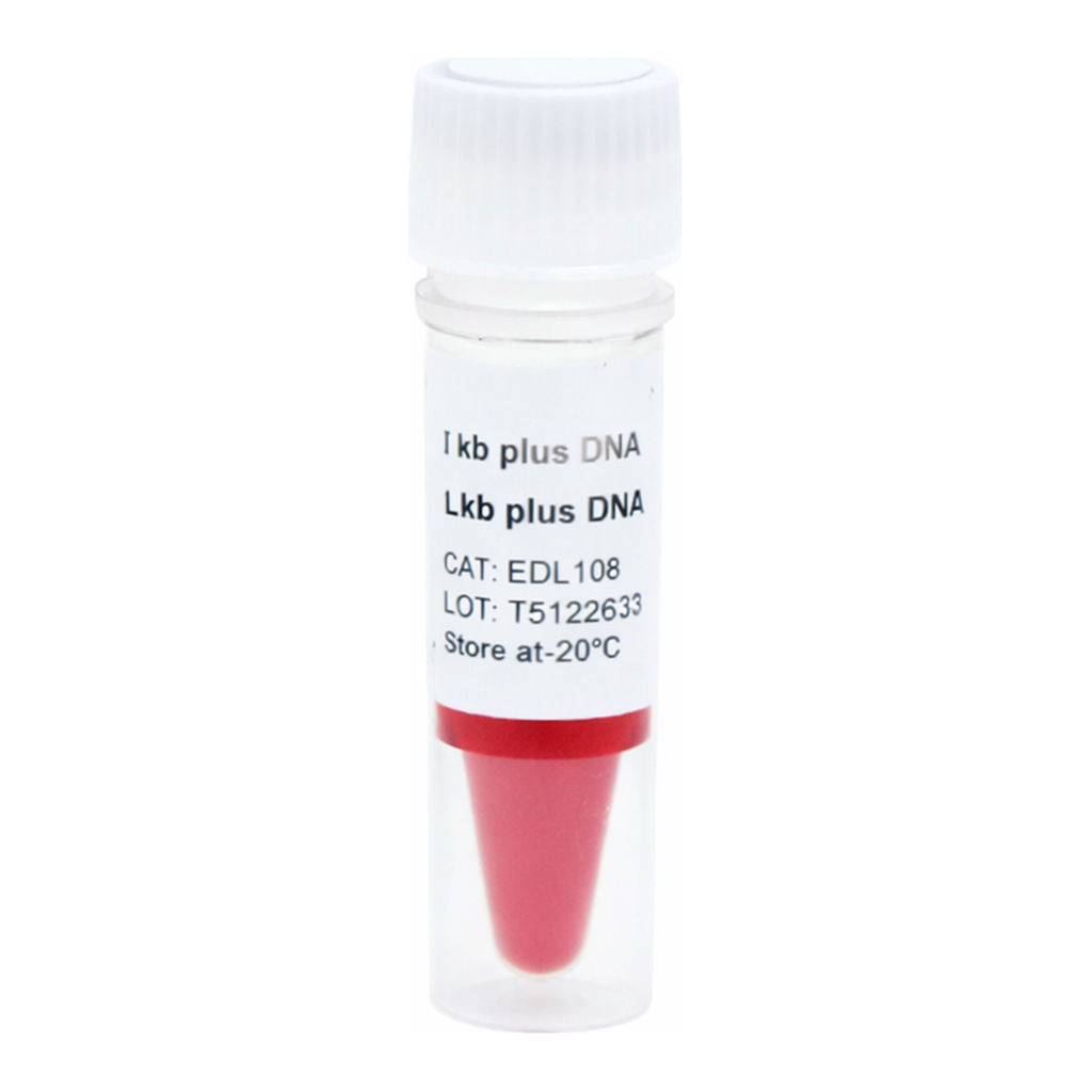 ELK Biotechnology 1kb plus DNA Ladder 250bp-10000bp