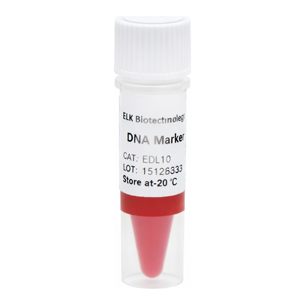 ELK Biotechnology DNA Marker II 100bp-1200bp