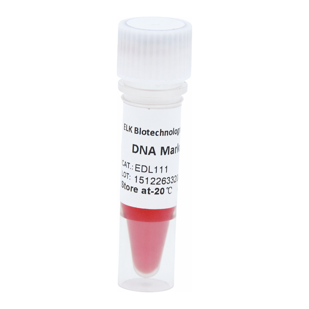 ELK Biotechnology DNA Marker III 200bp-3000bp