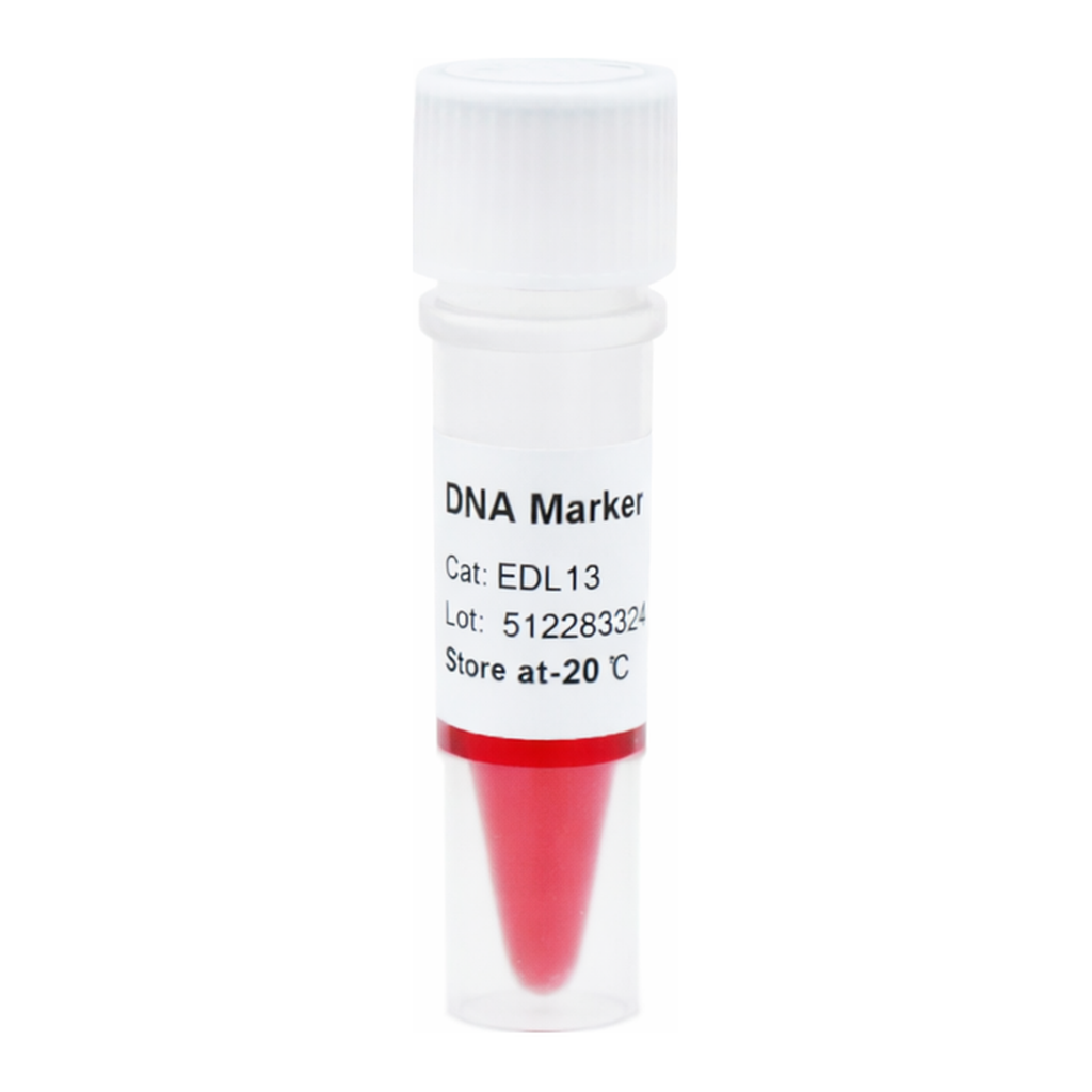 ELK Biotechnology DNA Marker V  250bp-5500bp