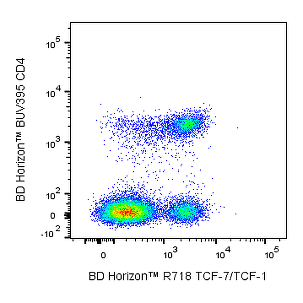 BD R718 Mouse Anti-TCF-7/TCF-1
